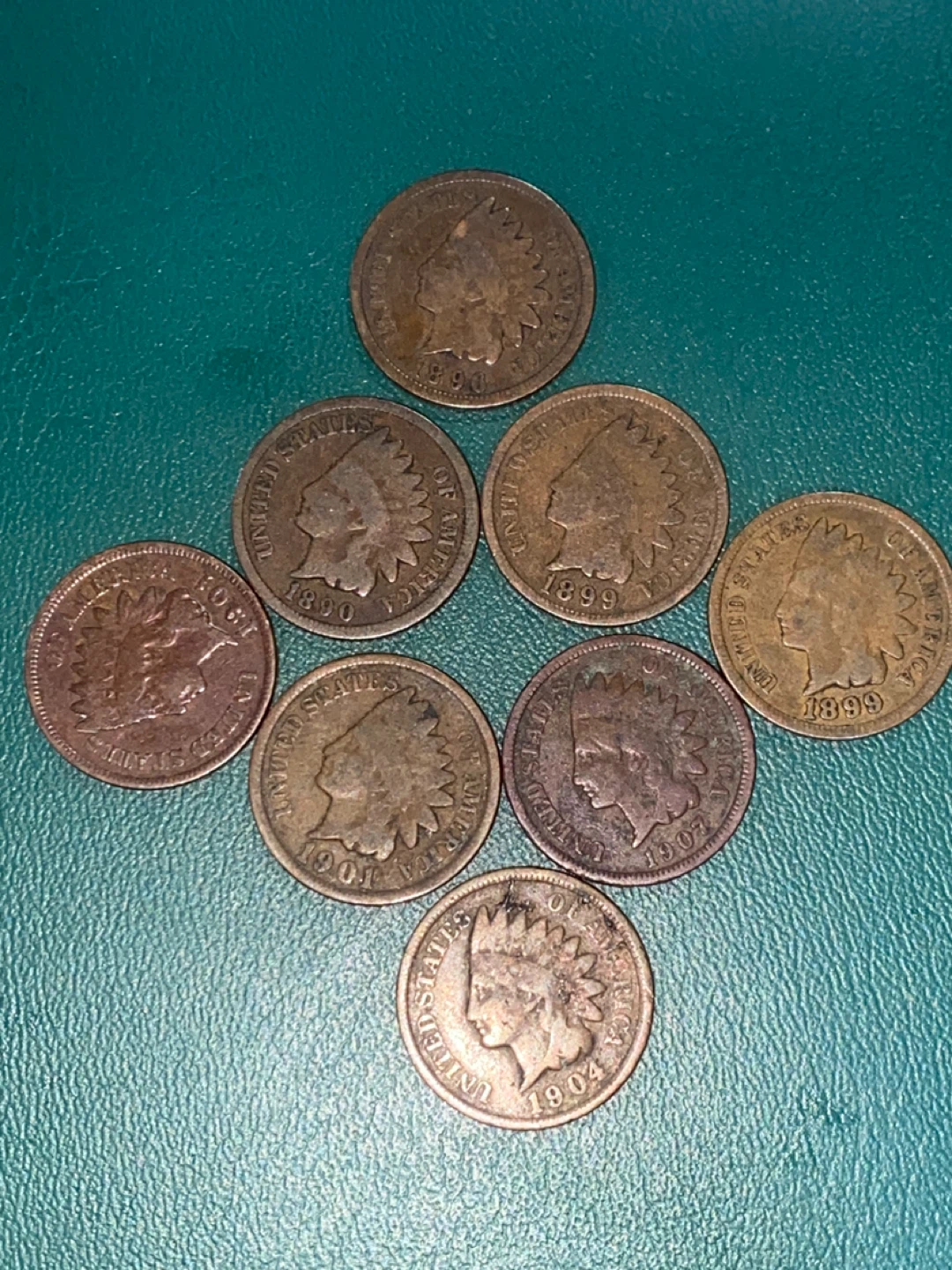 Collection of 8 Indian Head Pennies (1890-1904) - photo 2
