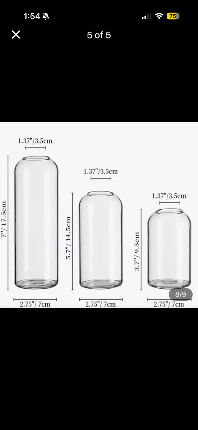 53 Glass bud vases