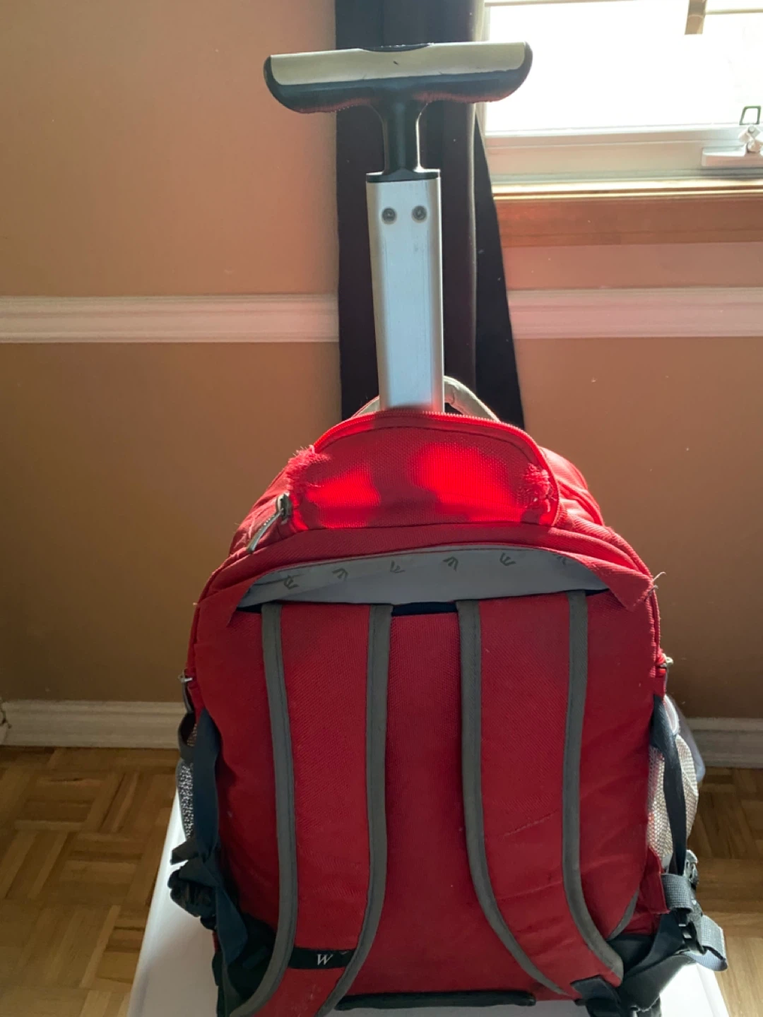 (3 days only offer) Multi-Purpose Big Wheeled Backpack - photo 4