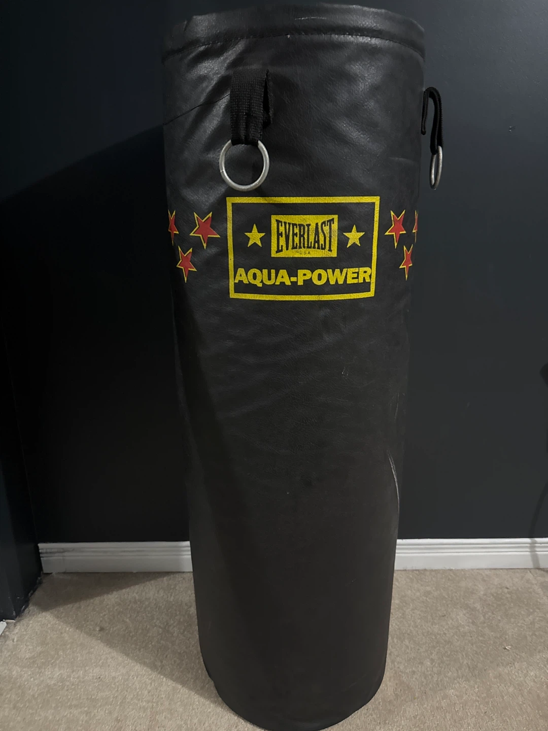 Everlast Aqua-Power Punching Bag - photo 2