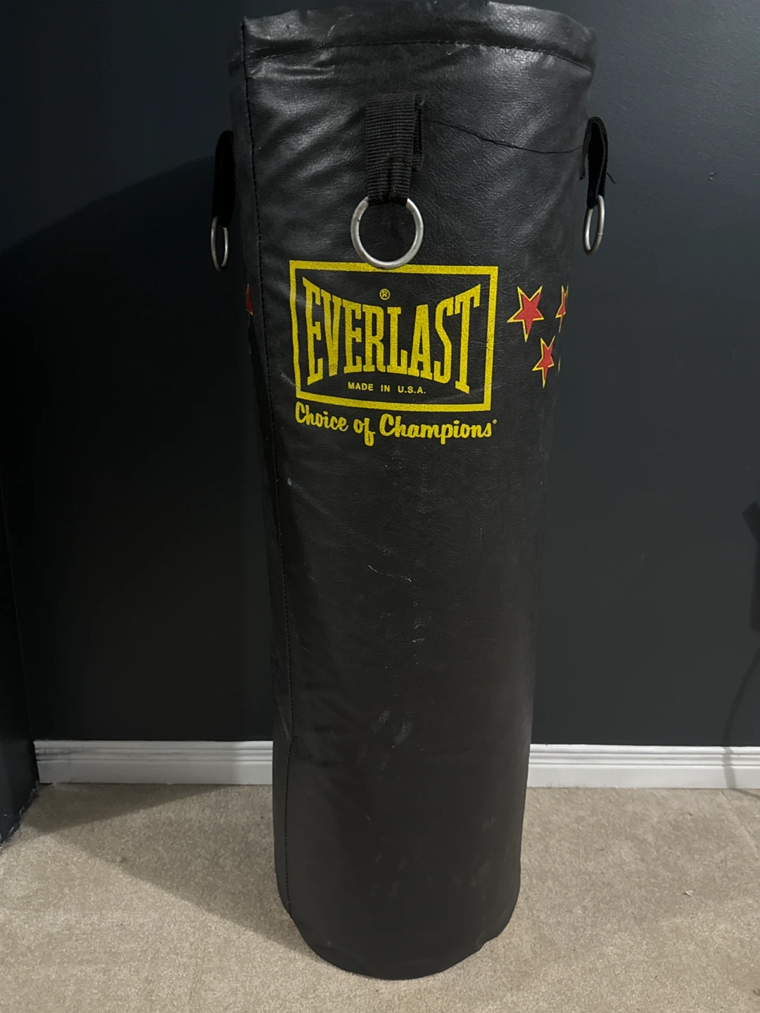 Everlast Aqua-Power Punching Bag
