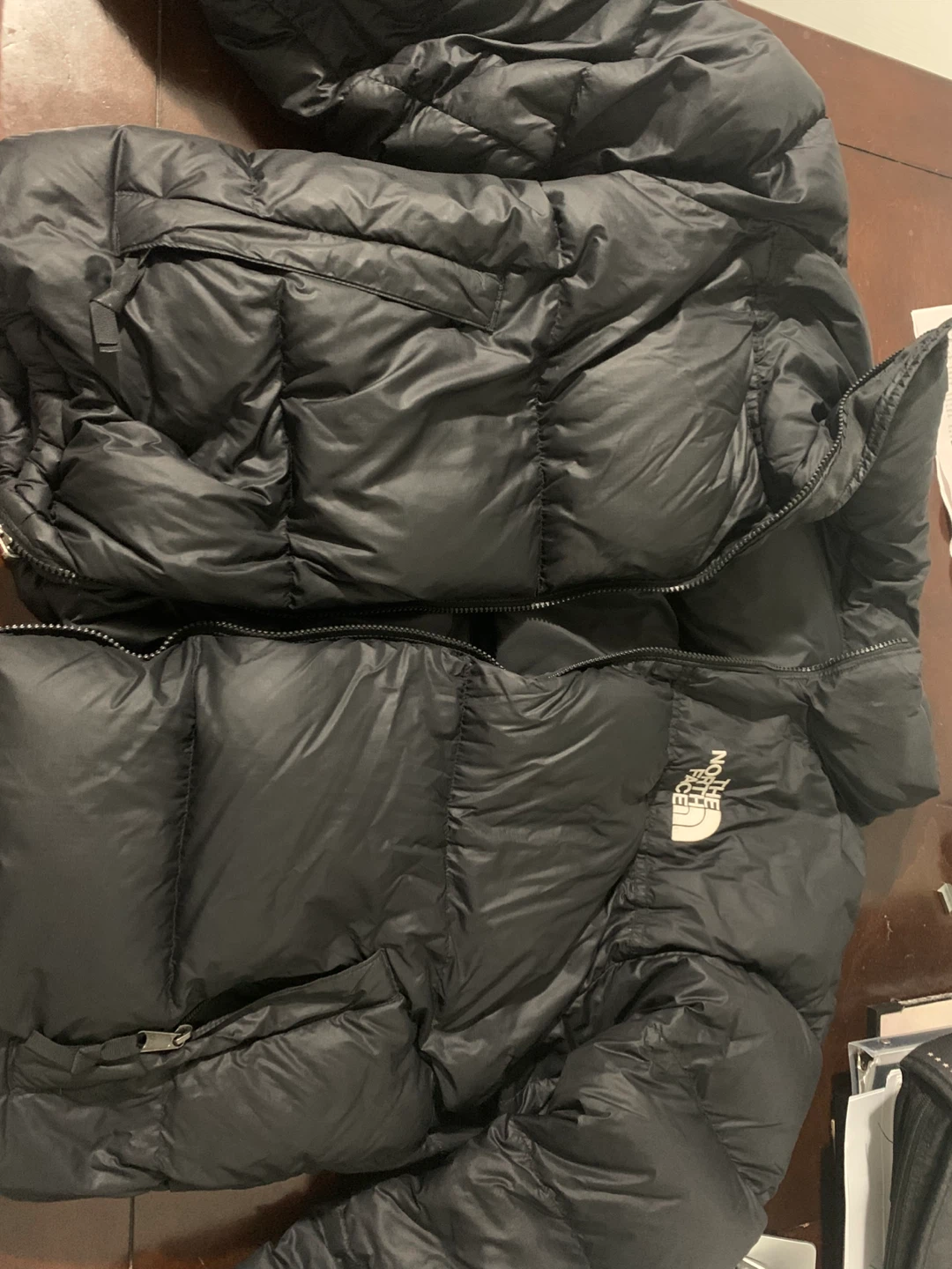 The North Face 700 Fill Down Jacket