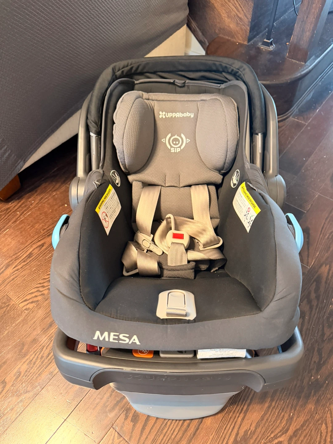 UPPAbaby MESA Infant Car Seat