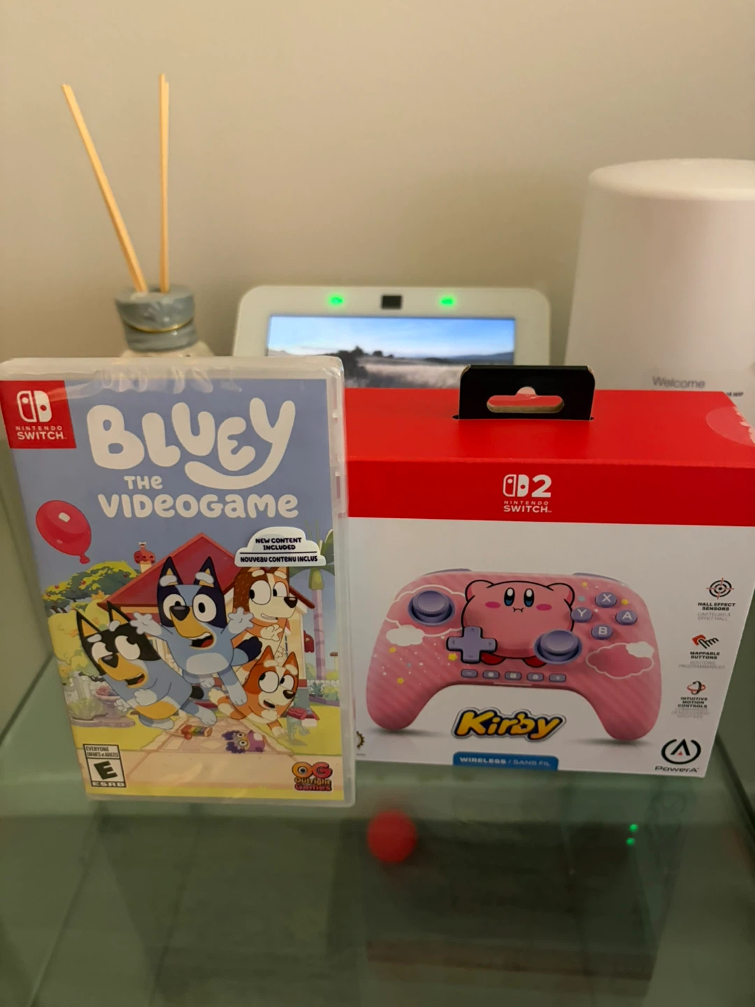 Kirby controller and bluey nintendo switch game