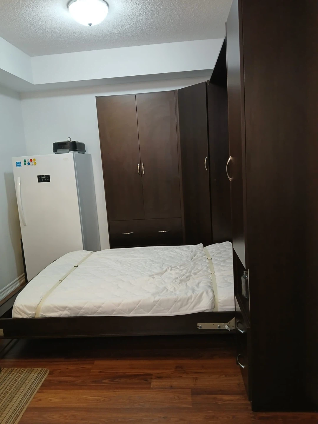 Murphy Bed Unit with Built in Storage and Desk - photo 3