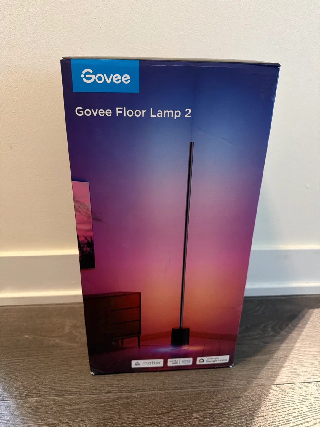 Govee Floor Lamp 2