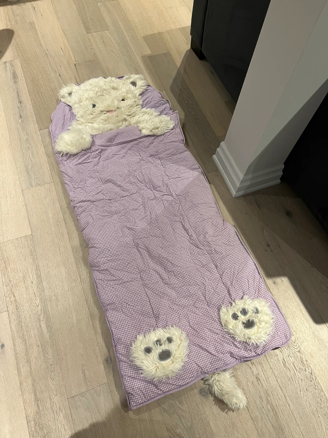 Kids Teddy Bear Sleeping Bag