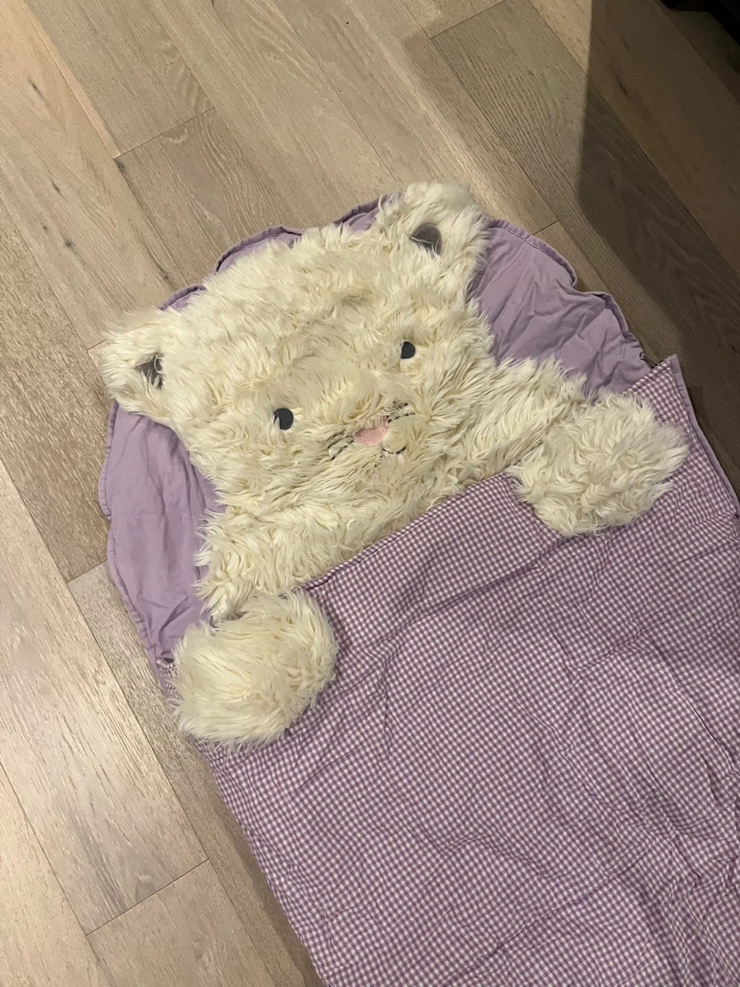 Kids Teddy Bear Sleeping Bag - photo 2