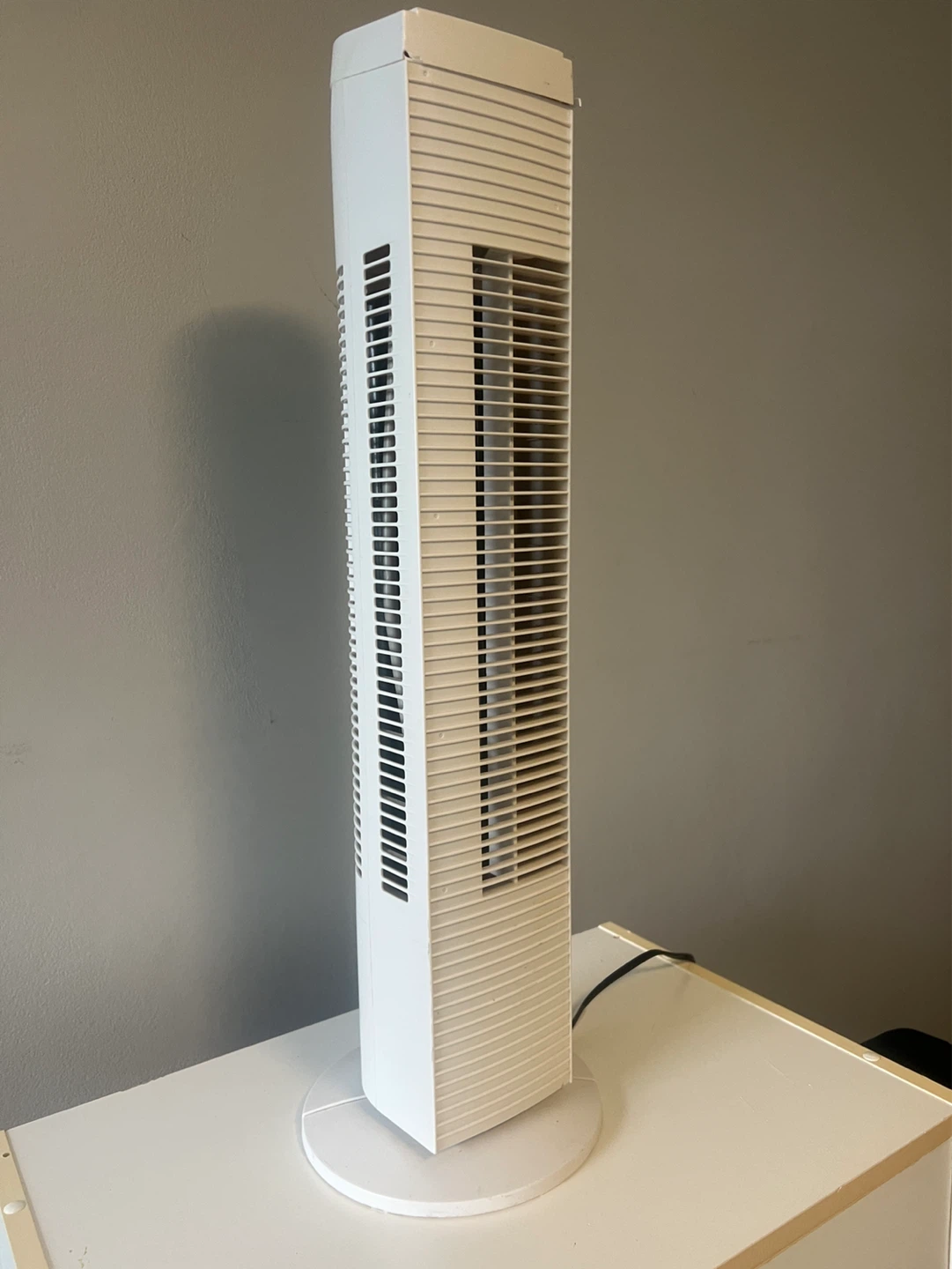 White Tower Fan - photo 2