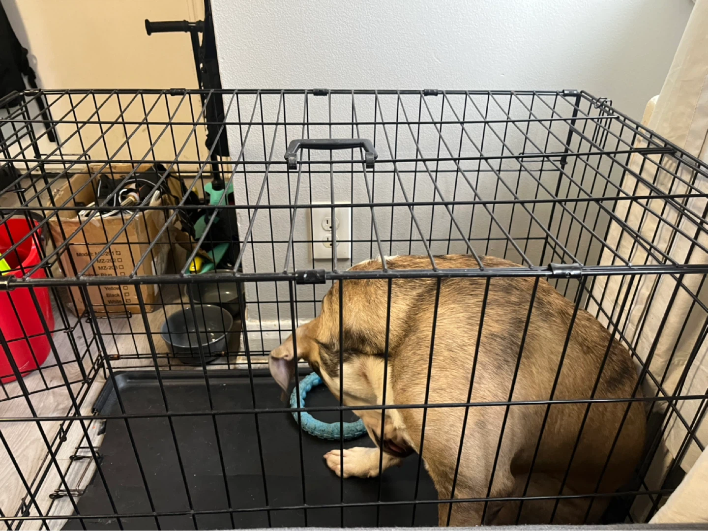iCrate Home Training System Dog Crate 36" L - photo 5