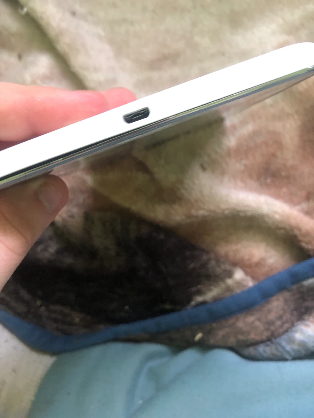 Samsung Galaxy Tab 3 Lite - photo 5