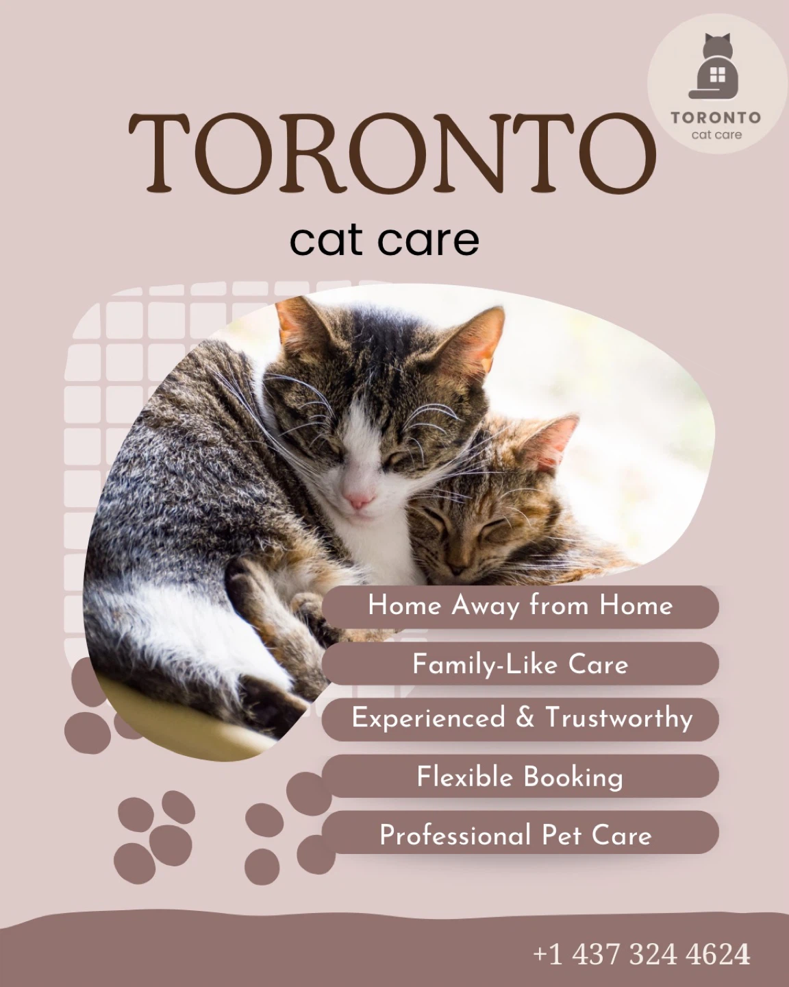 Toronto Cat Care Services