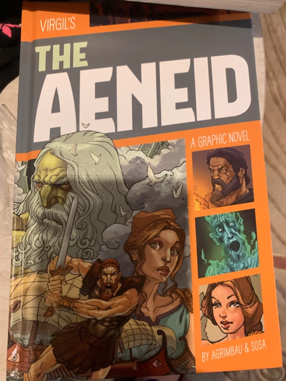 Virgil's The Aeneid: A Graphic Novel