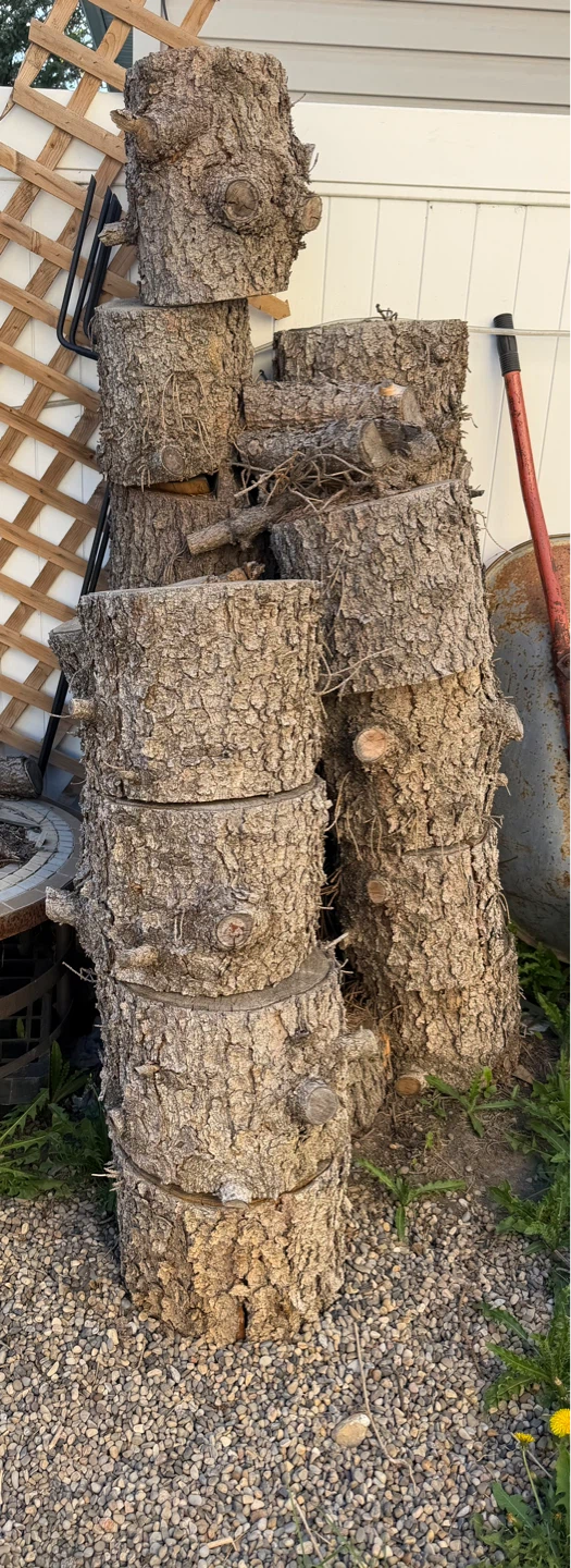 Firewood logs and branches - photo 2