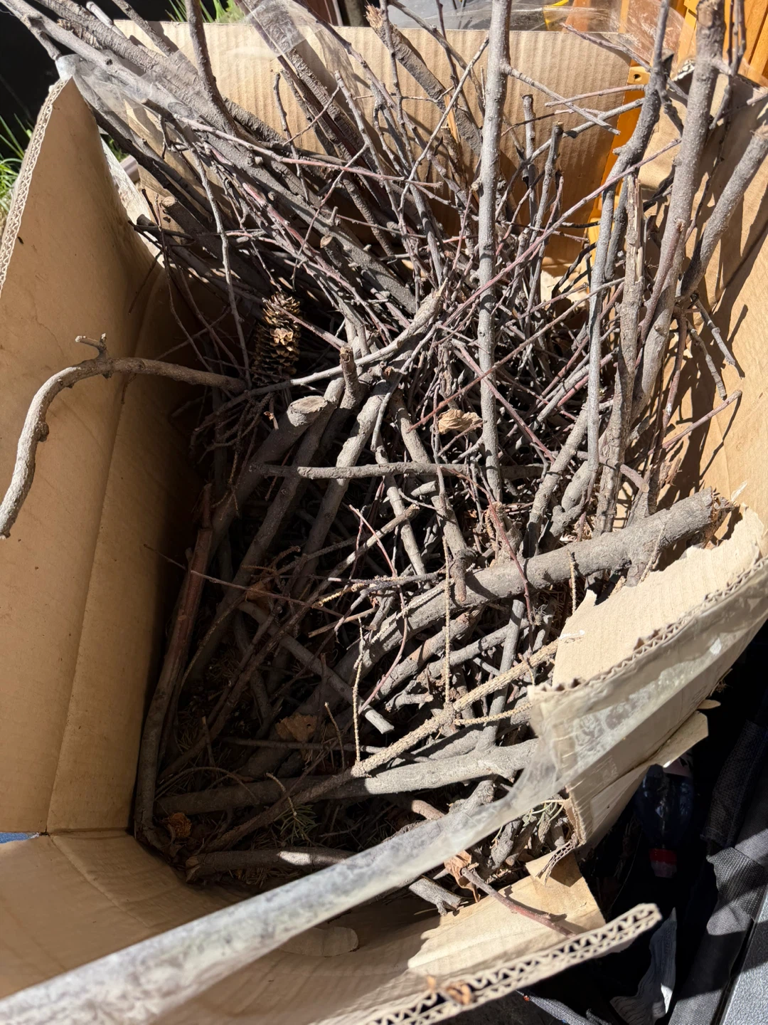 Firewood logs and branches - photo 5