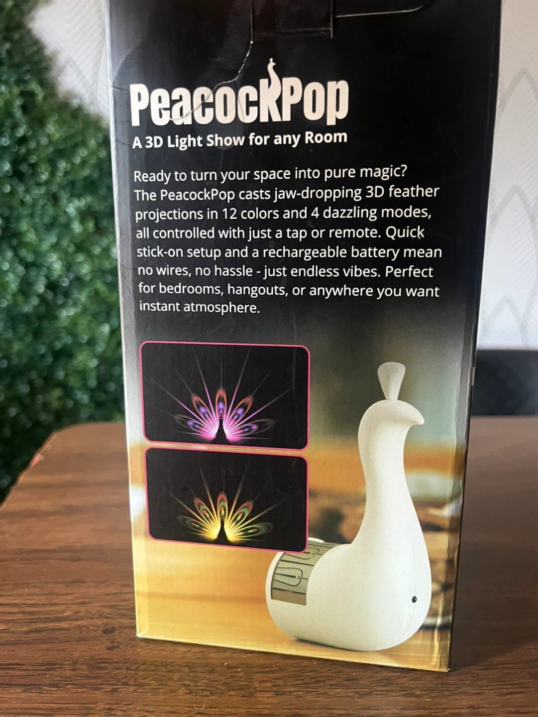 Peacock Light - photo 3