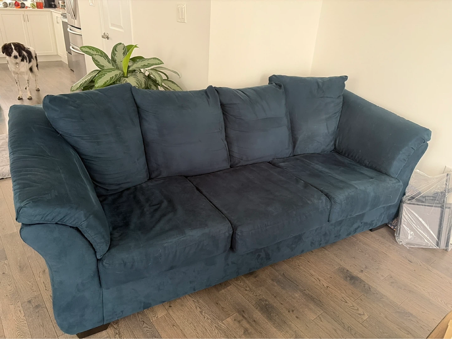 Free Queen Sofa Bed from Ashley (must pick up from inside)