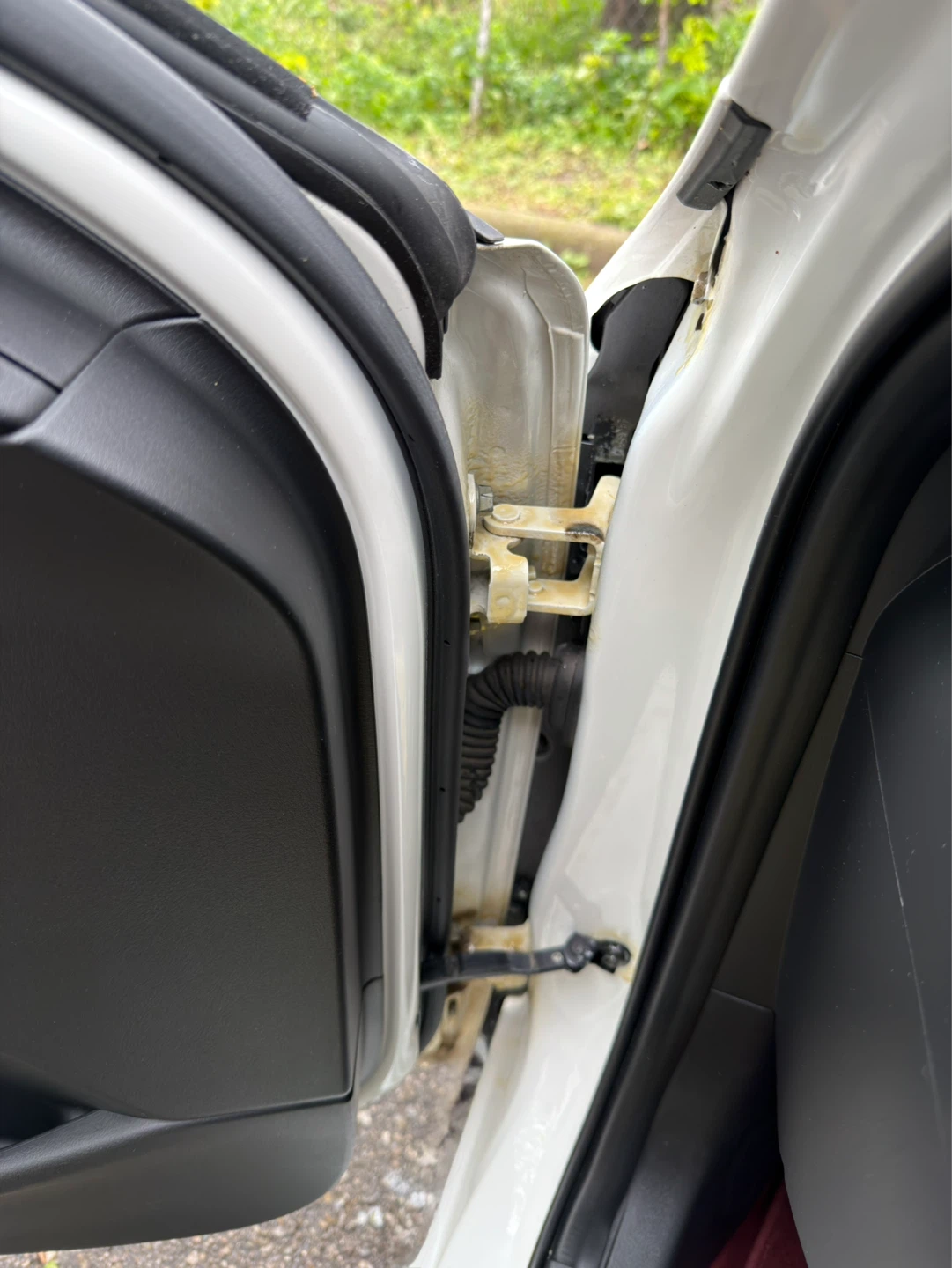Protect your vehicle from its worst enemy, rust. - photo 3