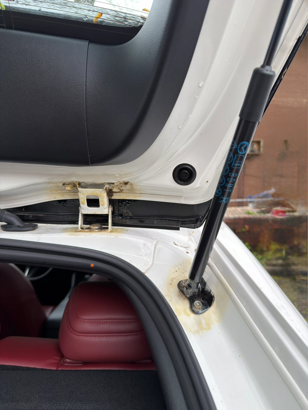 Protect your vehicle from its worst enemy, rust. - photo 4