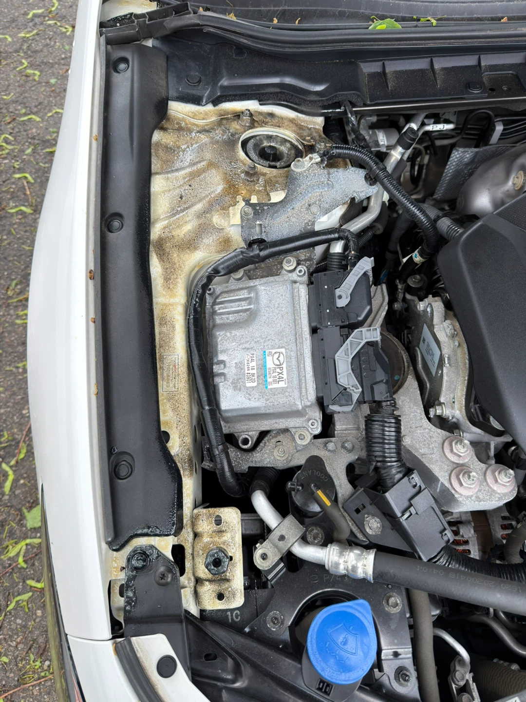 Protect your vehicle from its worst enemy, rust. - photo 2