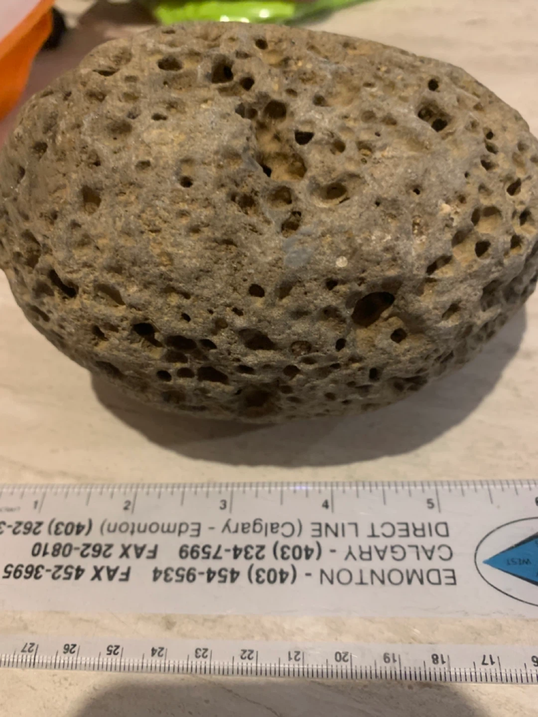 Large Volcanic Rock / Pumice Stone