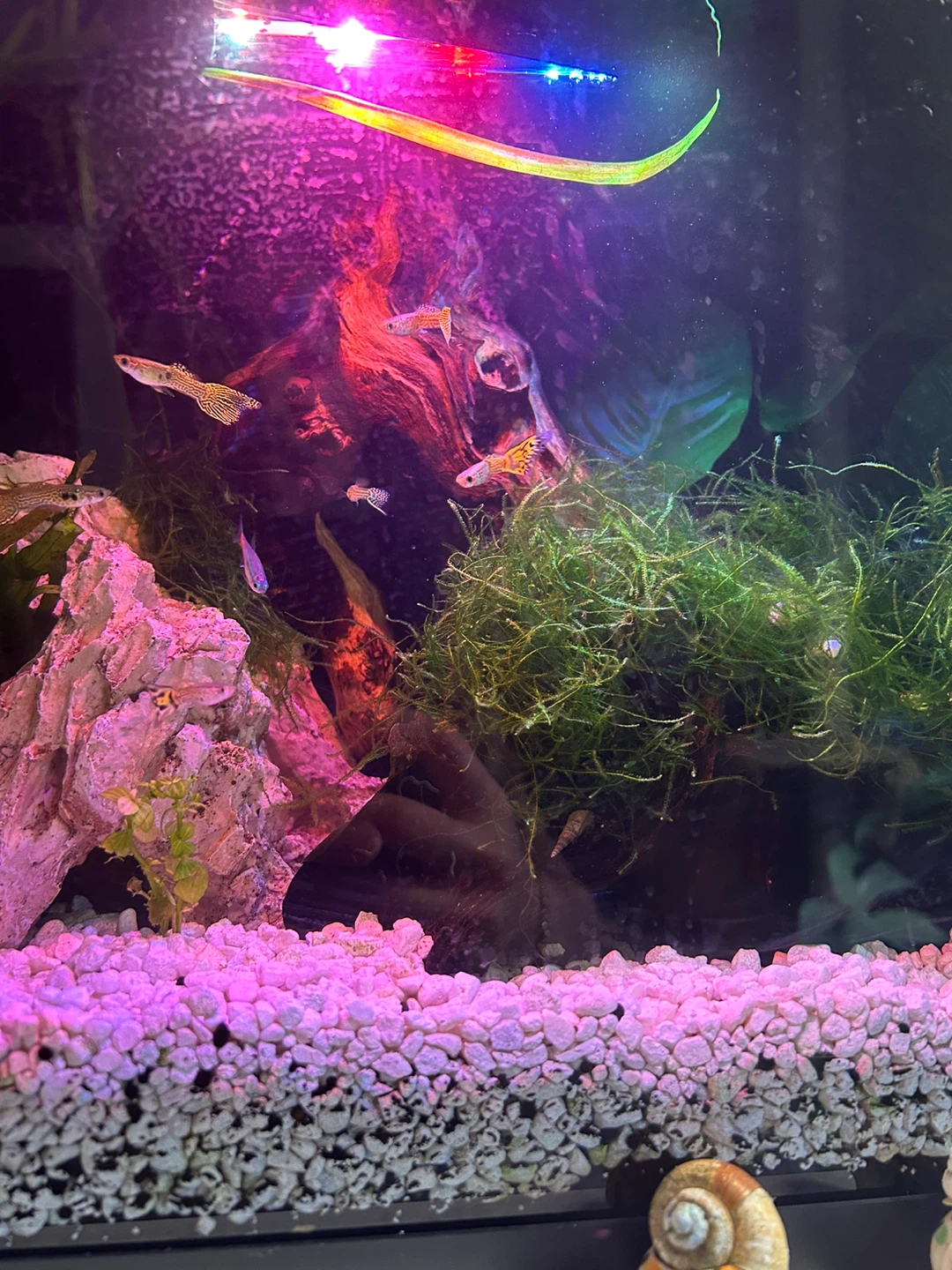 Aquarium LED Light Bar - photo 2