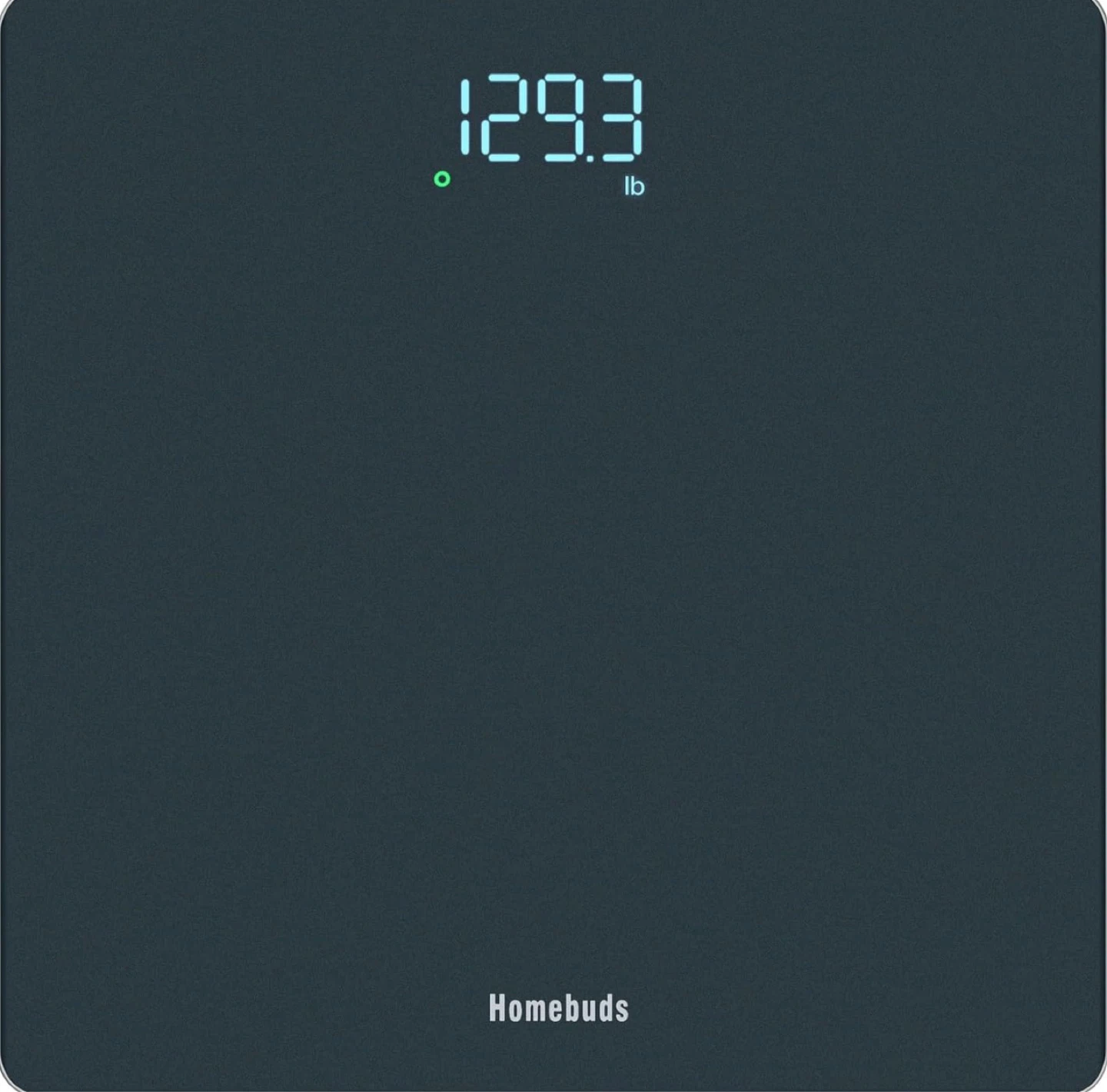 Homebuds Digital Scale