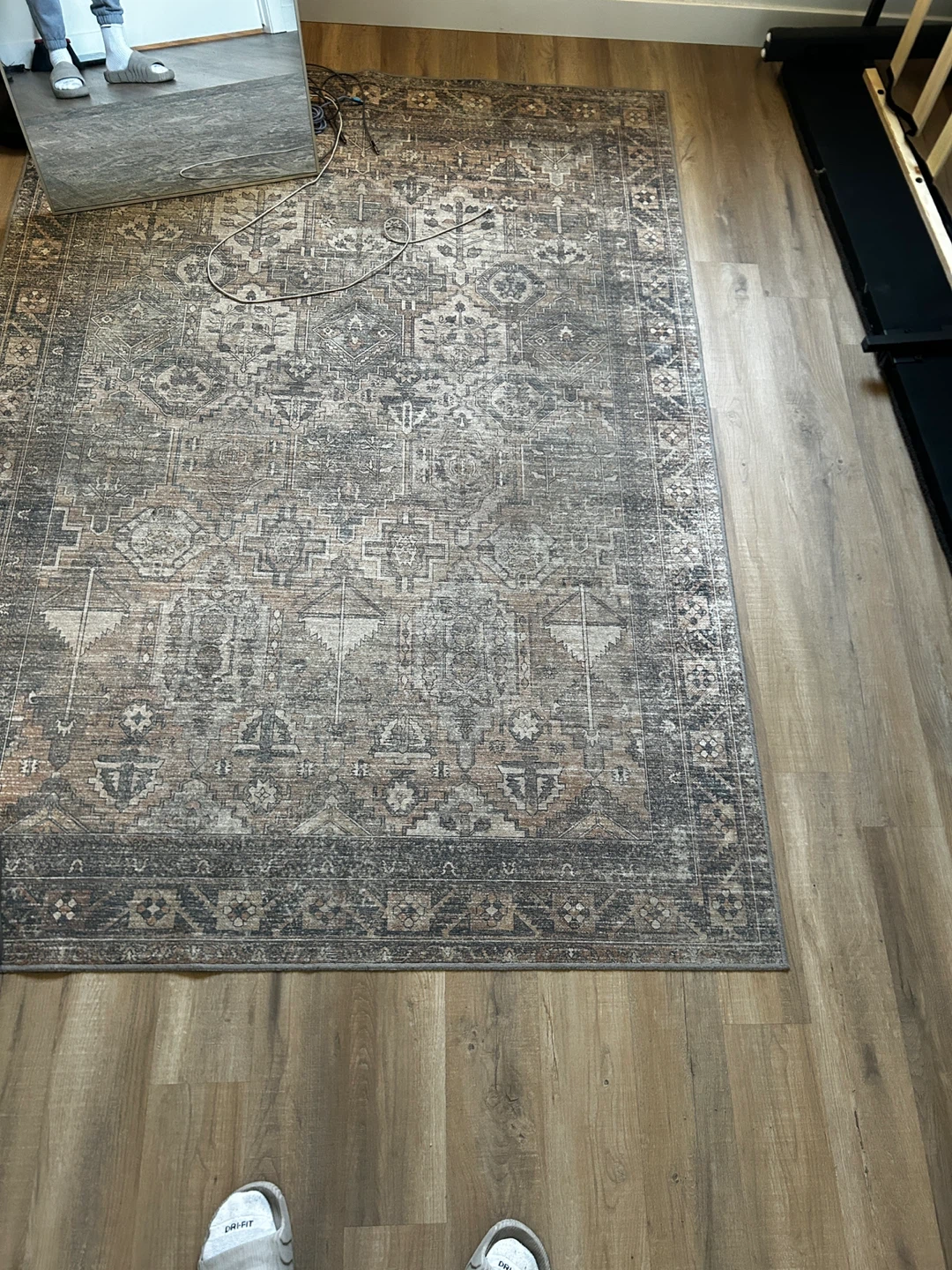 Distressed Medallion Area Rug