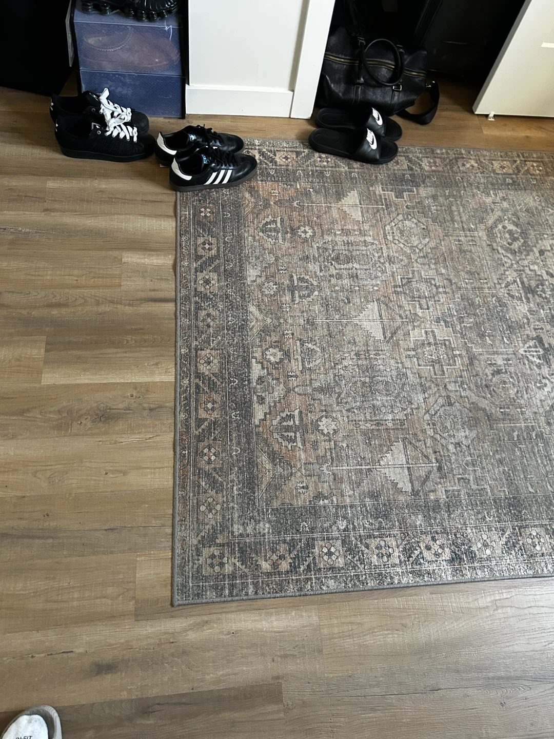 Distressed Medallion Area Rug - photo 5
