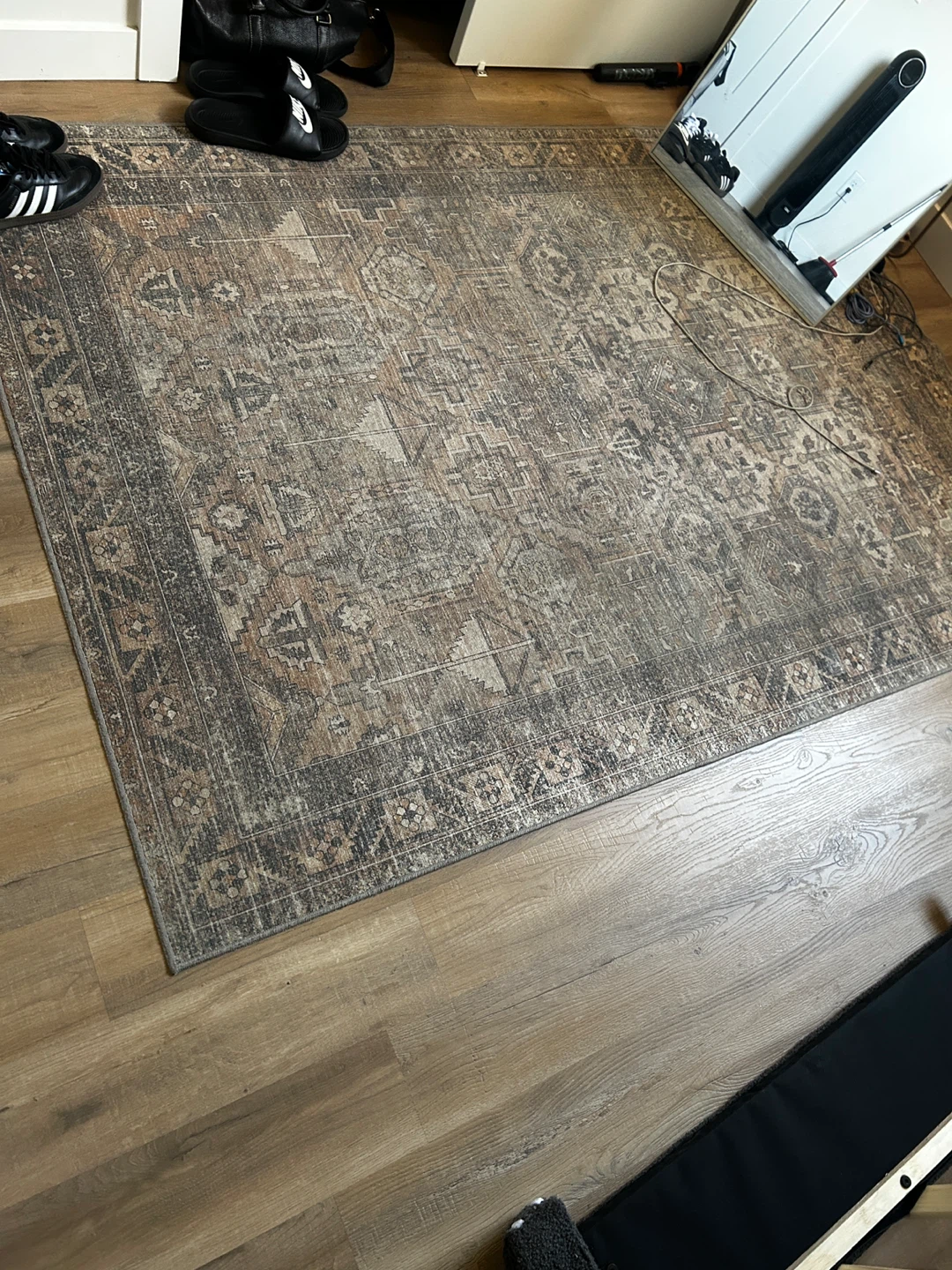 Distressed Medallion Area Rug - photo 2