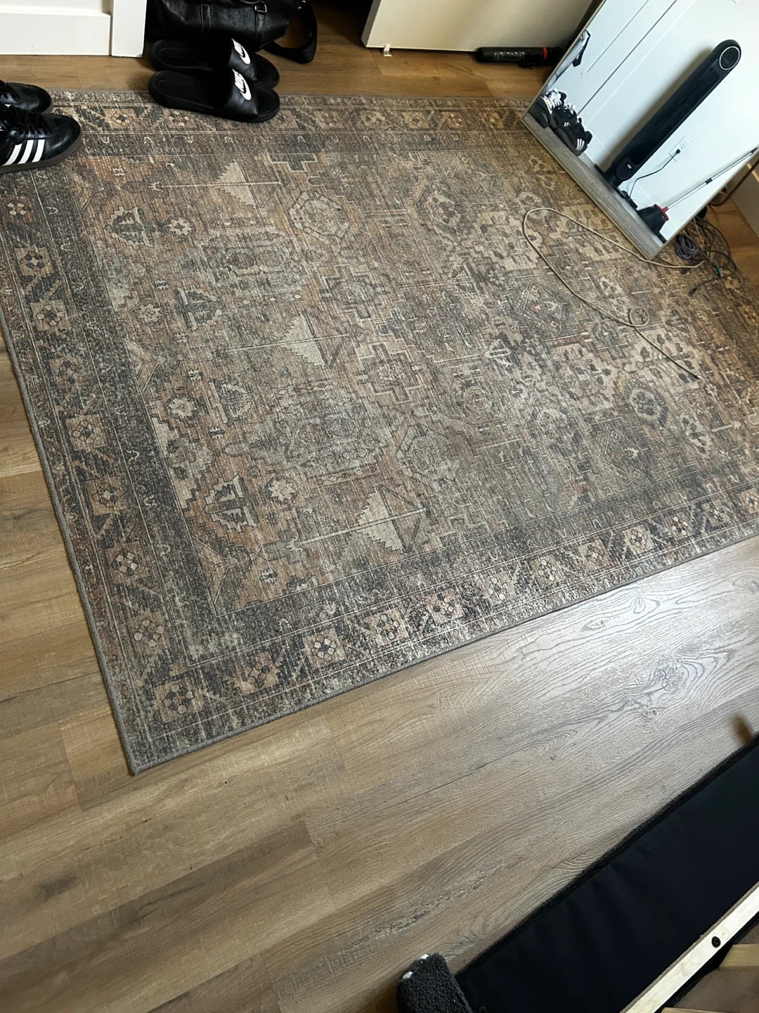 Distressed Medallion Area Rug - photo 3
