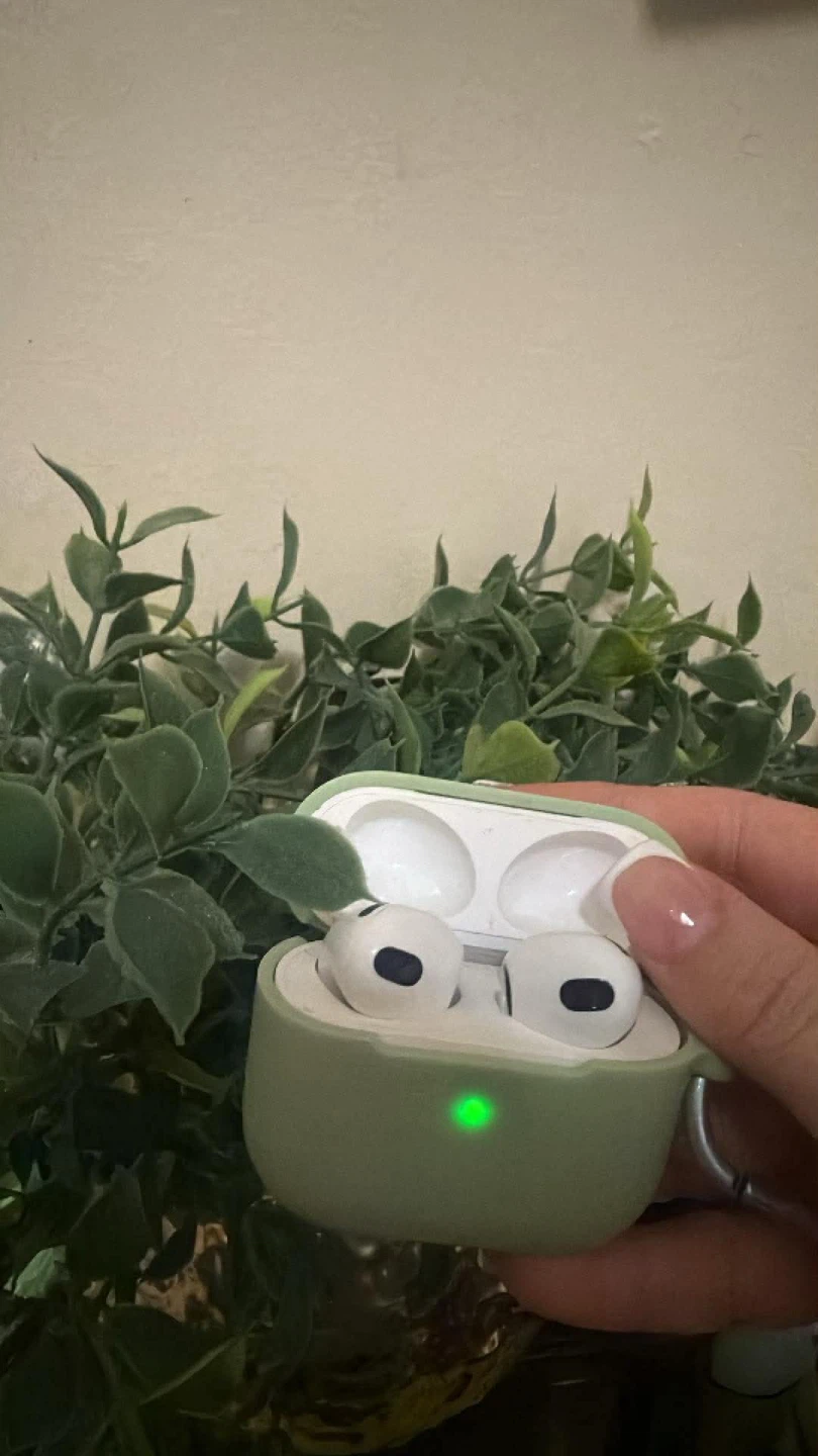 Sage Green AirPods 3rd Gen Case with Carabiner - photo 2