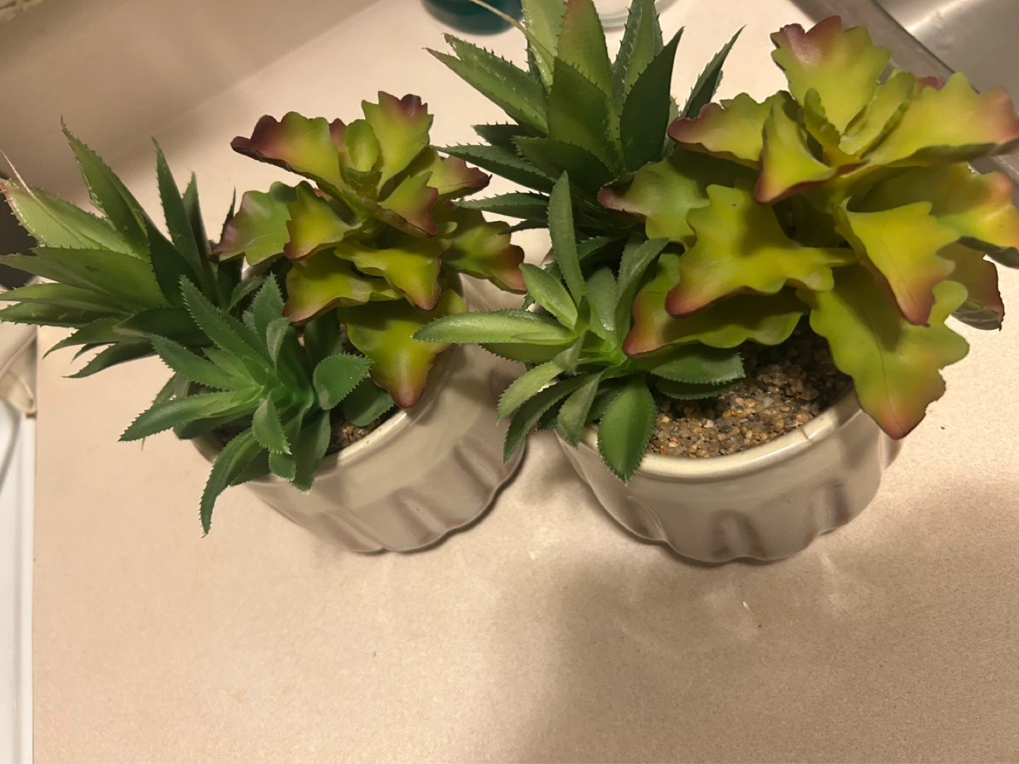 Set of 2 Artificial Succulent Plants in Cream Pots