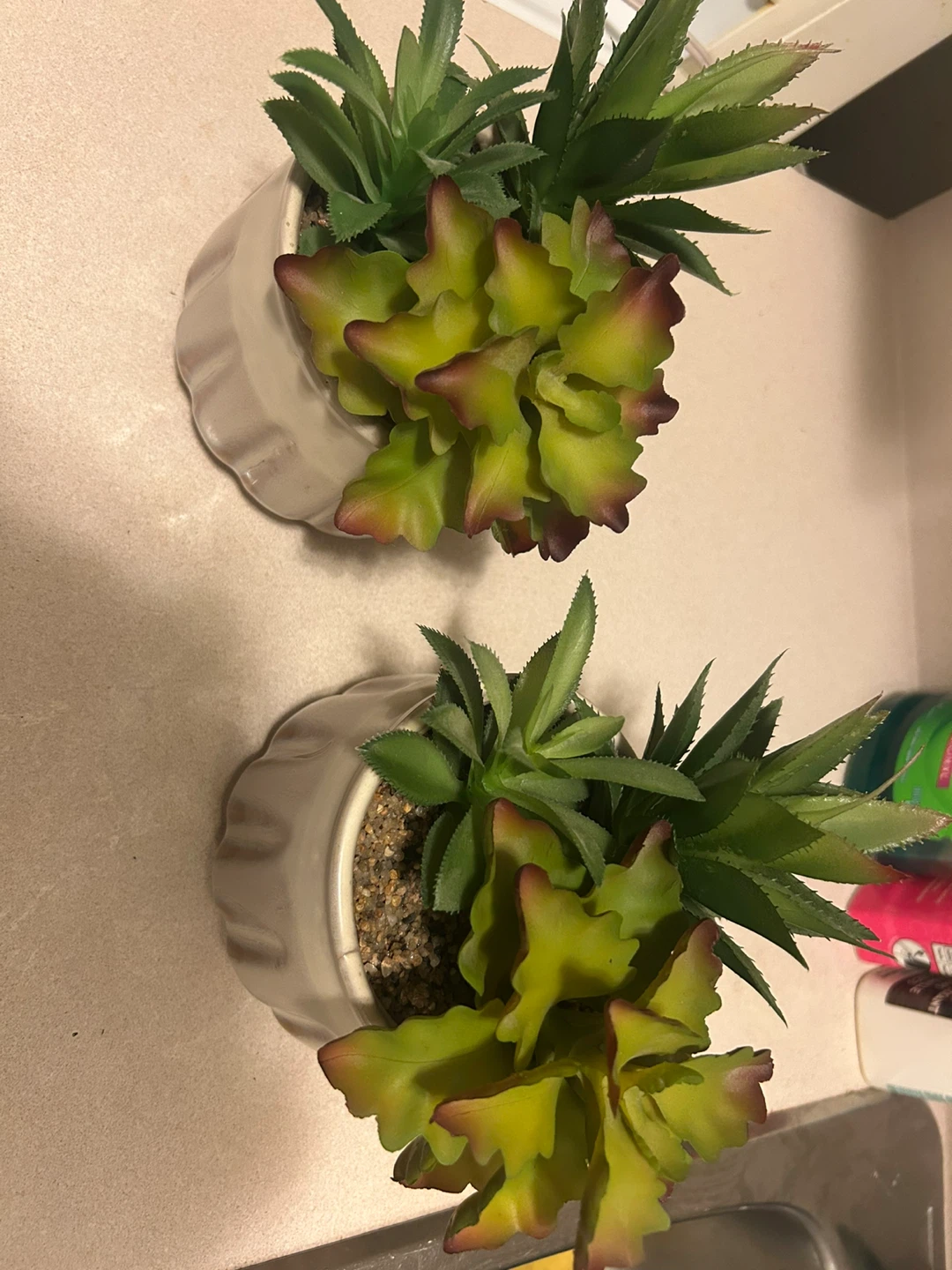 Set of 2 Artificial Succulent Plants in Cream Pots - photo 2
