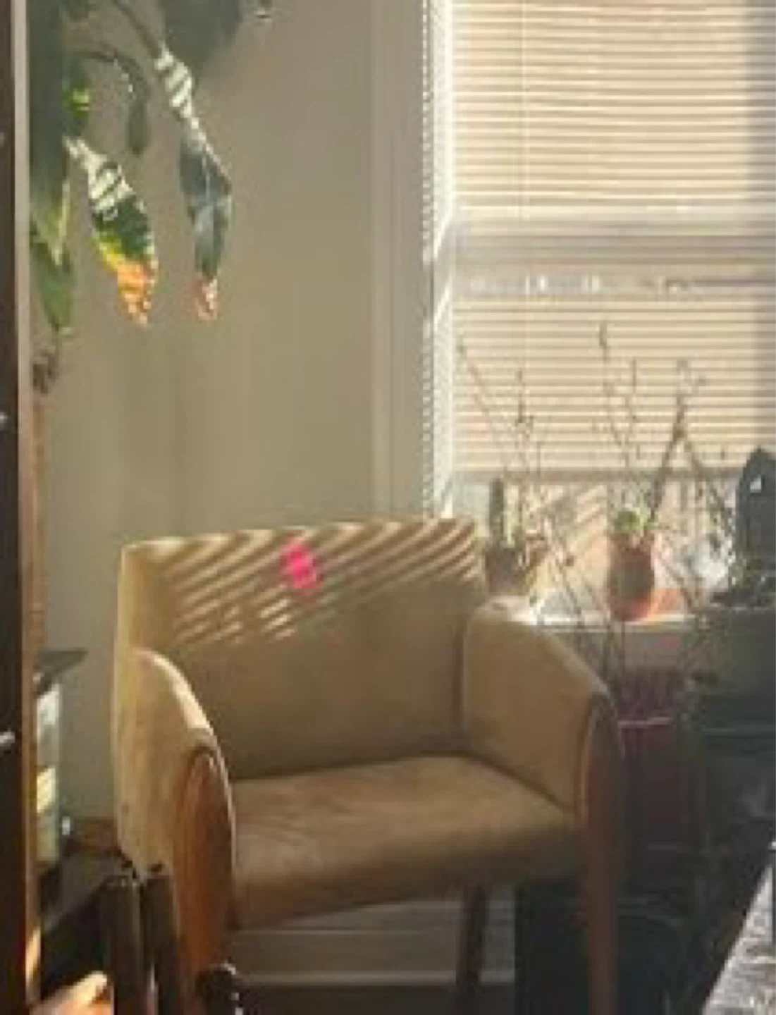 Pair of Cushioned Armchairs – Stylish & Comfortable