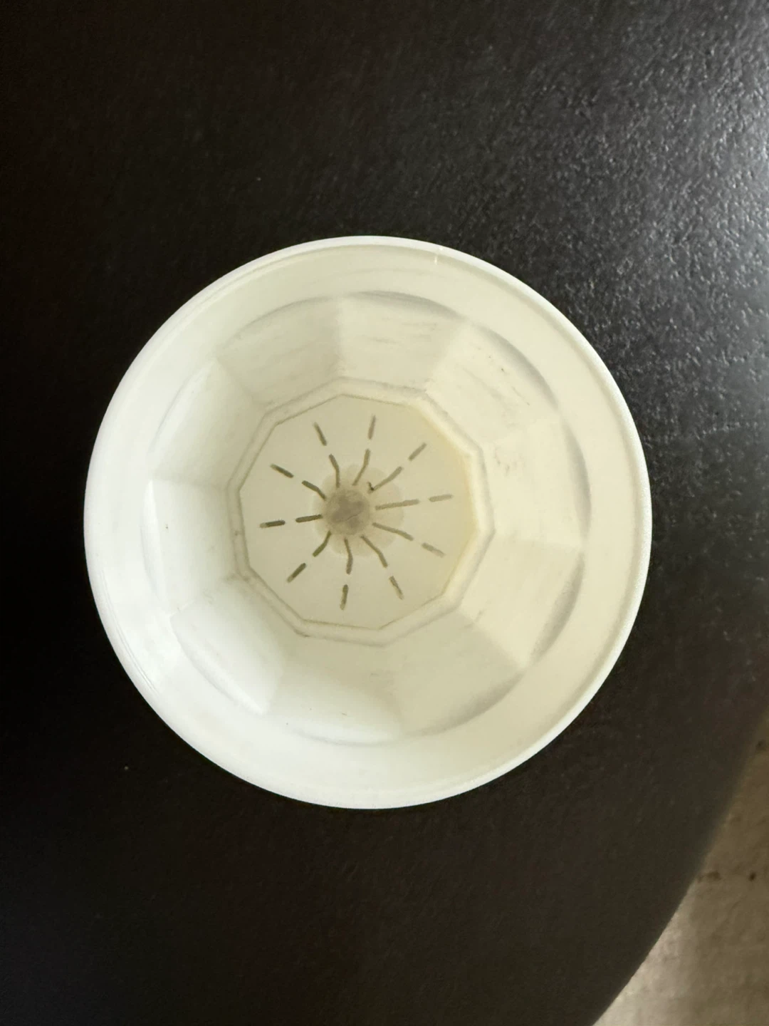 White Flower Pot with Drainage Tray + free pots - photo 2