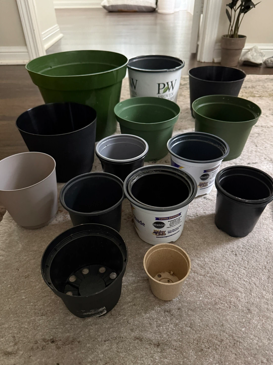 Free Pots - Misc Sizes