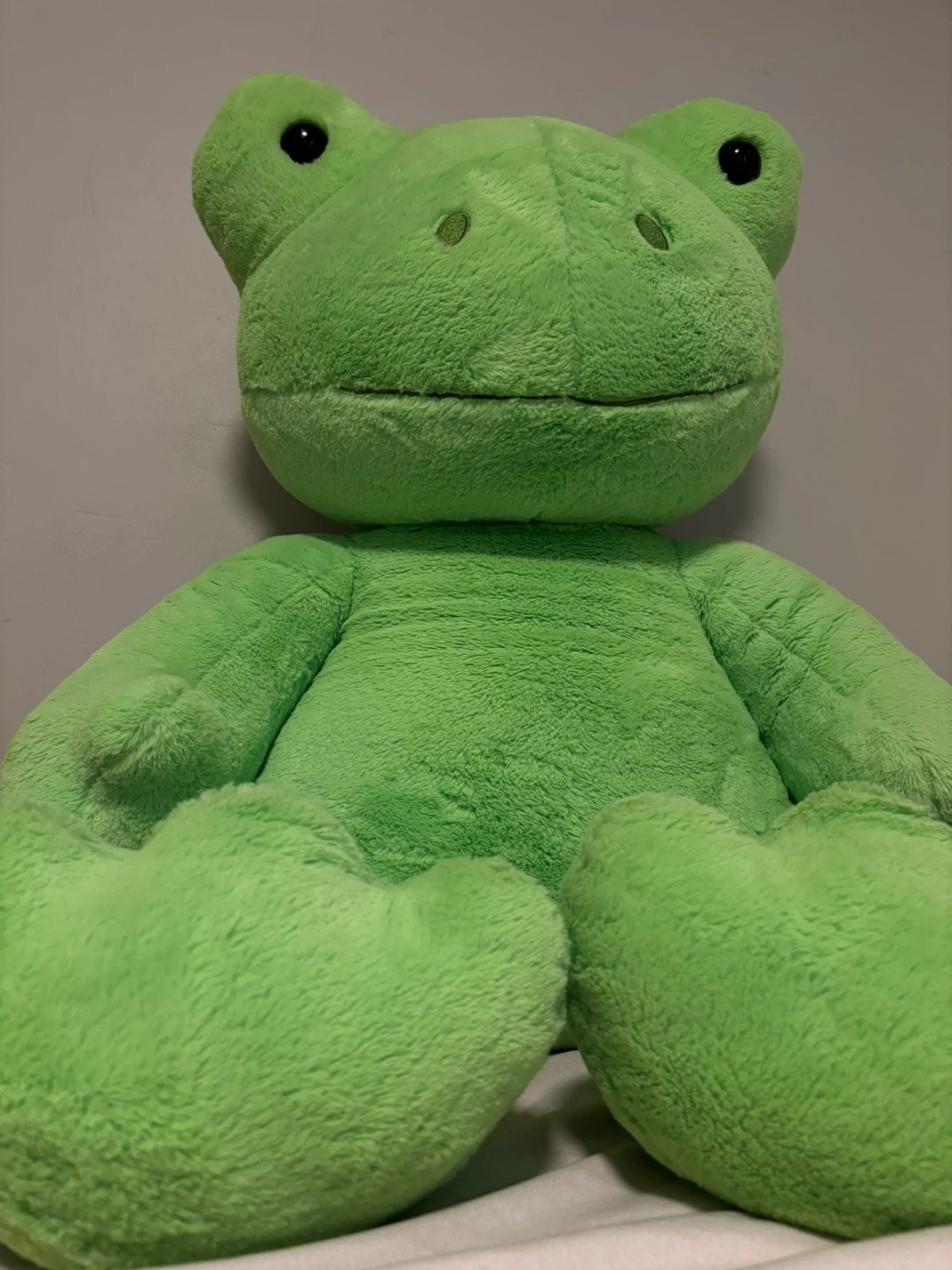 Green Plush Frog Toy