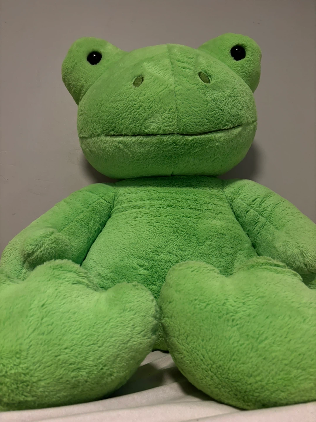 Green Plush Frog Toy - photo 2