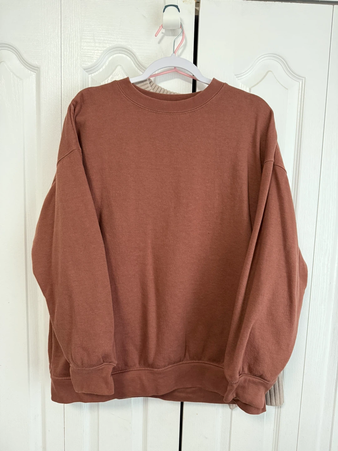 Zara Pink Crewneck Sweatshirt (Size L)