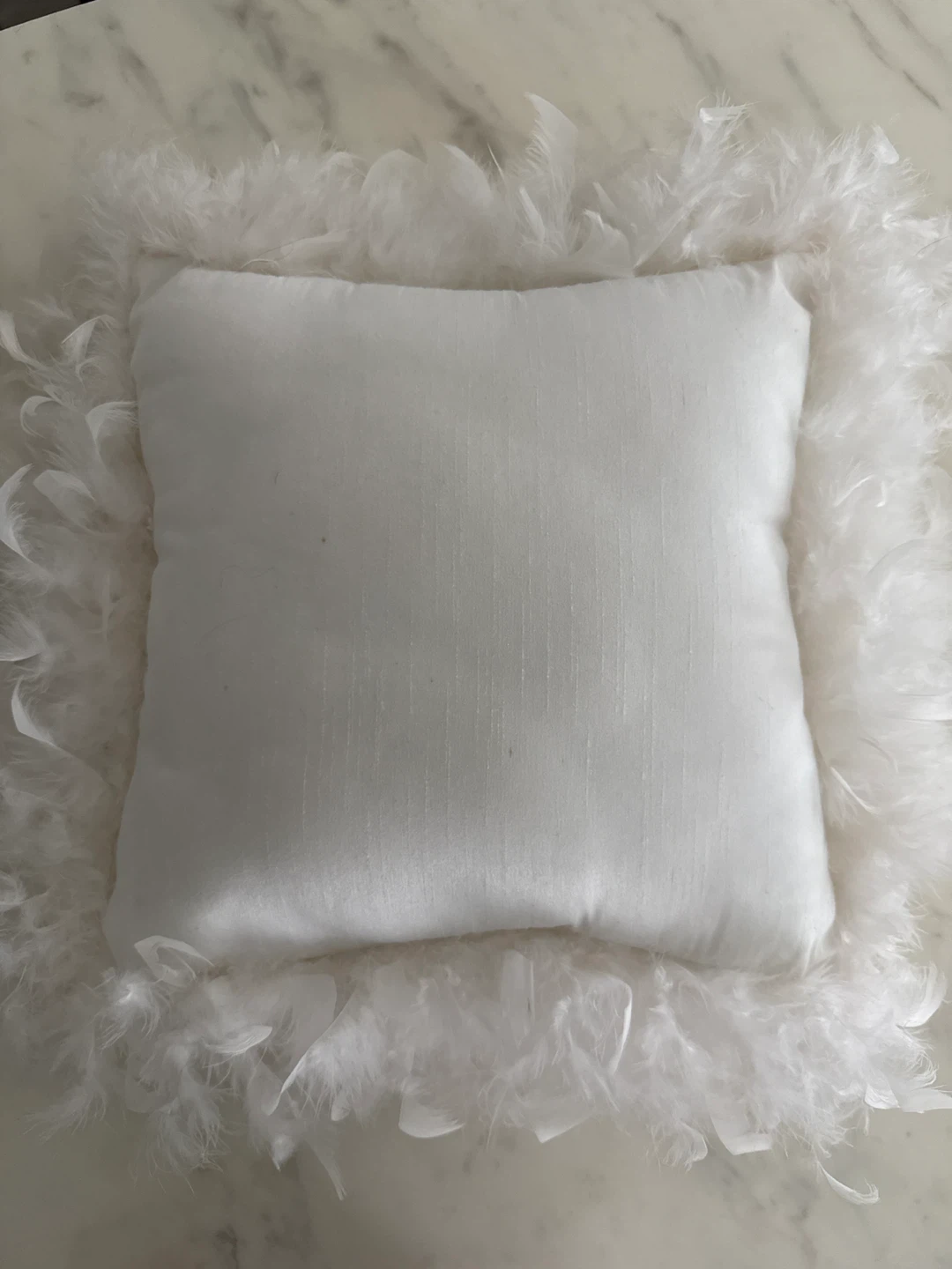 Zara Home White Feather Trimmed Throw Pillow