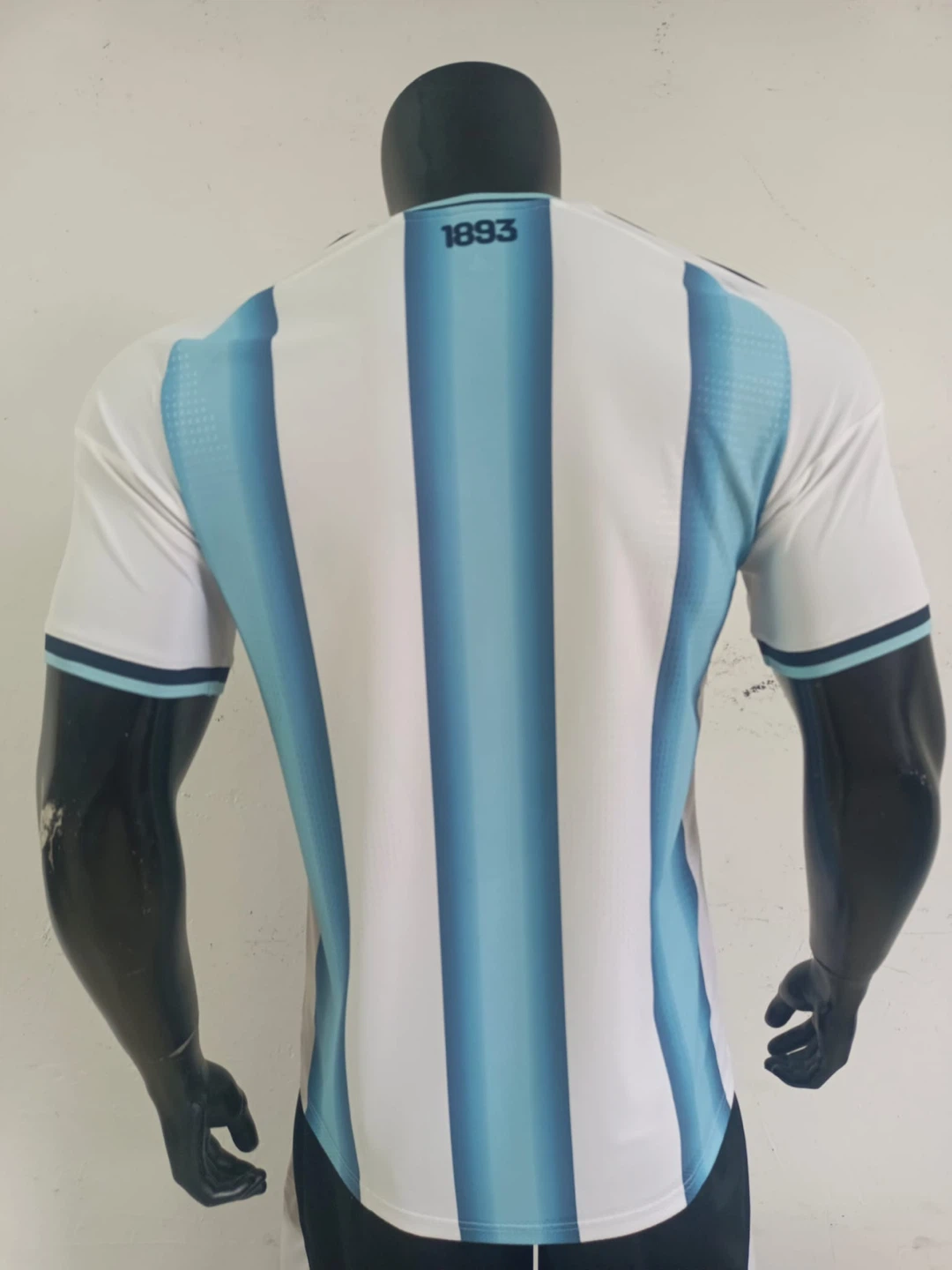 Argentina FIFA World Cup 2026 Jersey - photo 2