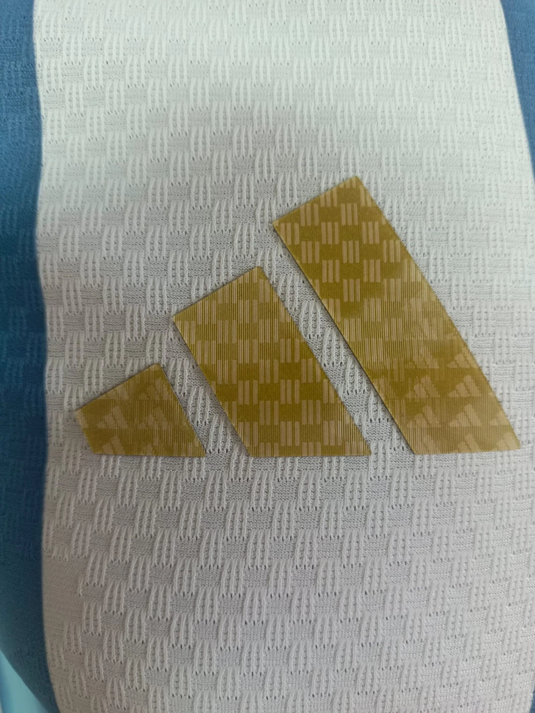 Argentina FIFA World Cup 2026 Jersey - photo 4