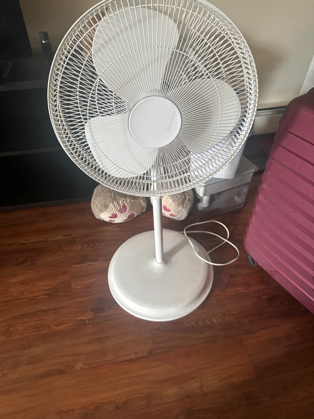 White Pedestal Fan