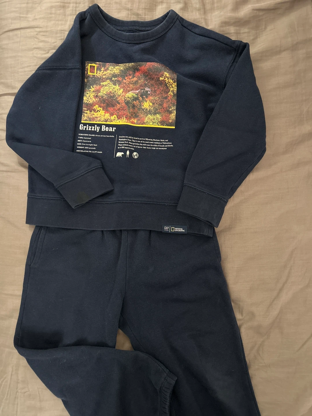 Gap x National Geographic Grizzly Bear Sweatshirt and Pants Set