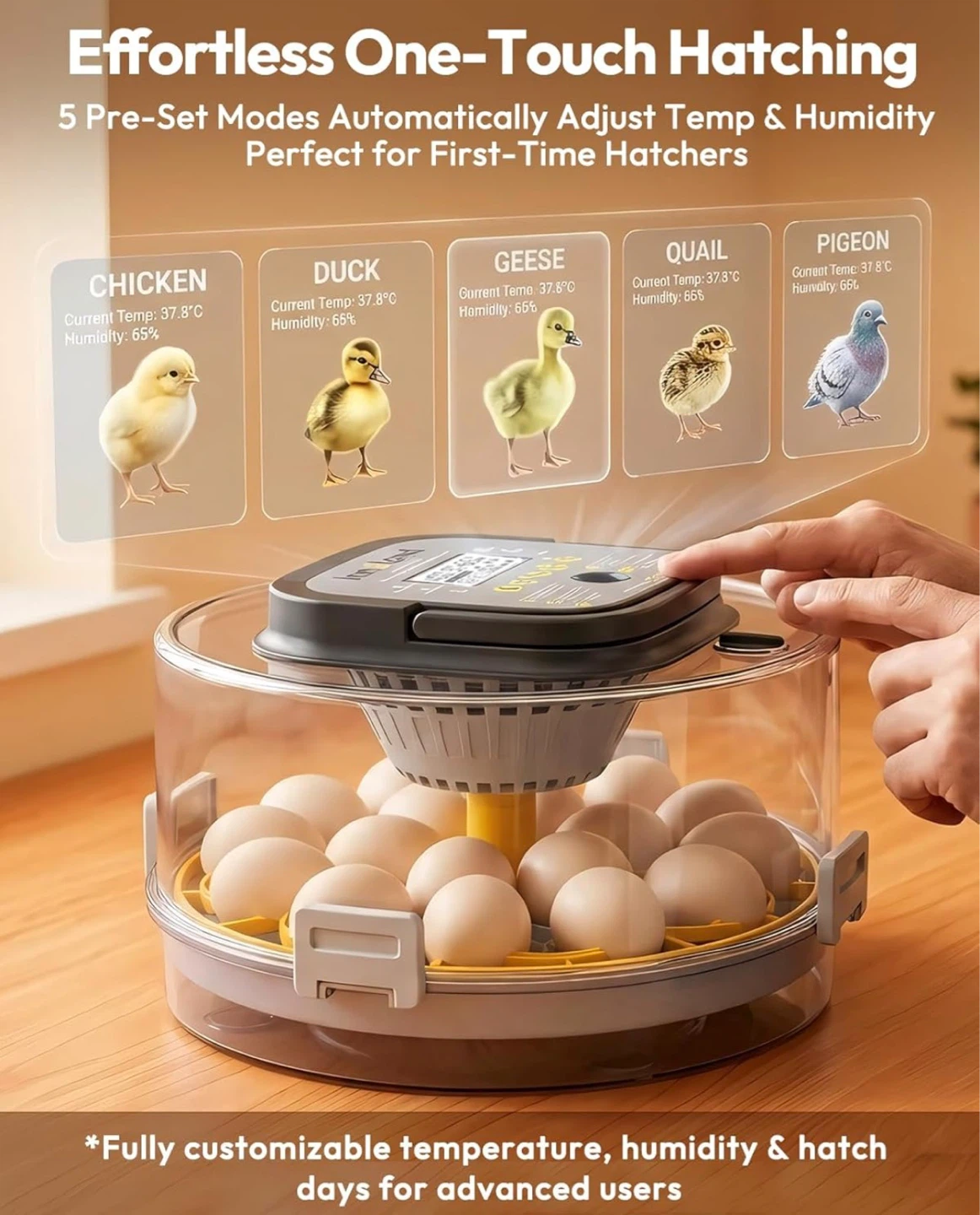 Innoland 18-Egg Digital Incubator - photo 5