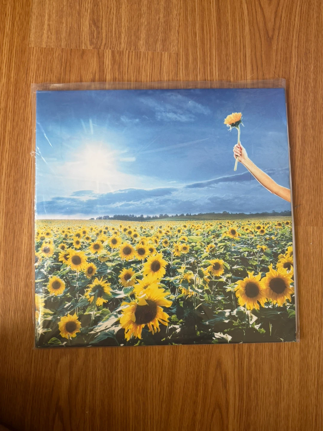 Stone Temple Pilots - Thank You Vinyl Record
