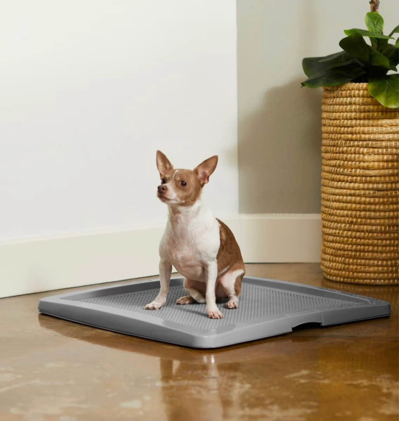 Grey Dog Pet Training Potty Pad Holder Tray 24" x 24" - photo 3