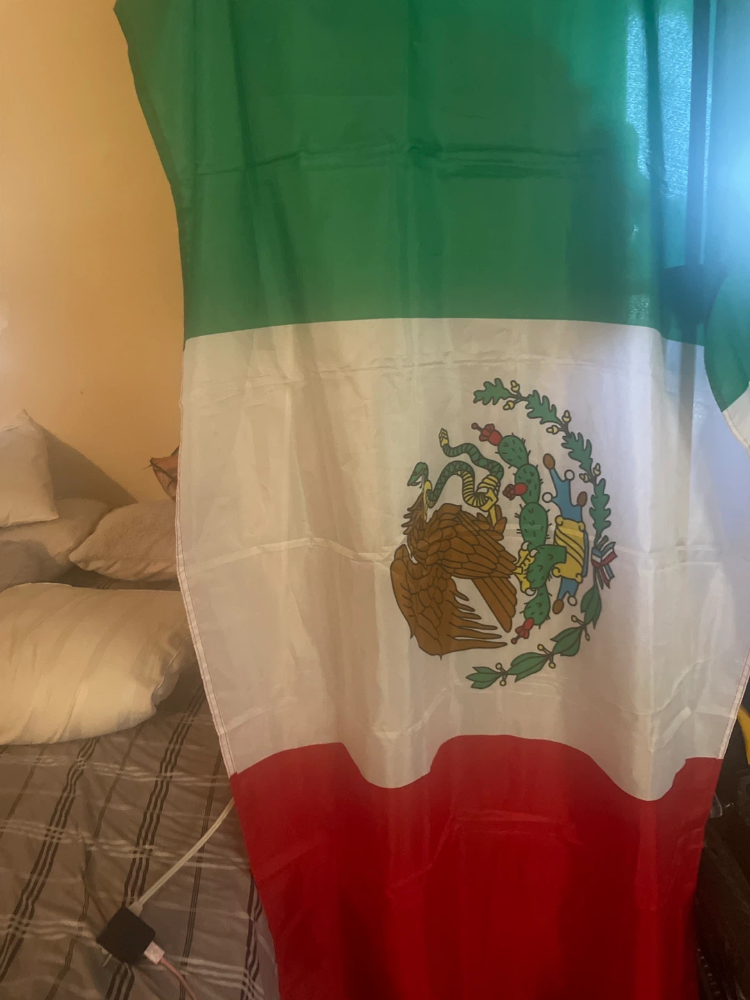Mexican Flag