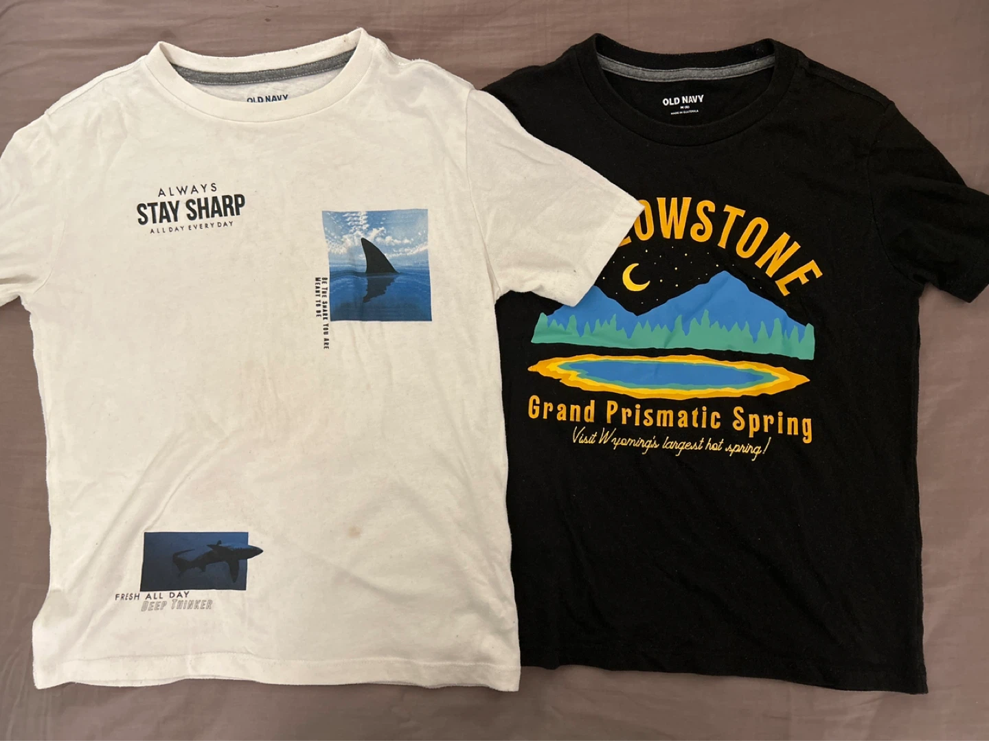 Old Navy Boys T-Shirts (2-Pack)